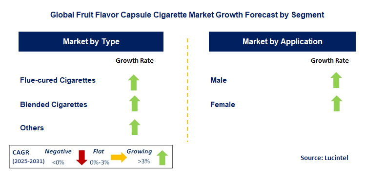 Fruit Flavor Capsule Cigarette Market by Segment
