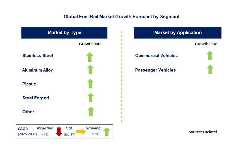 Fuel Rail Market by Segment
