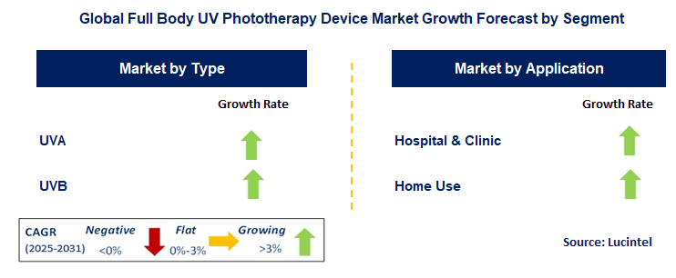 Full Body UV Phototherapy Device Market by Segment