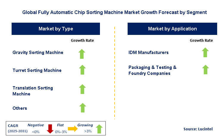 Fully Automatic Chip Sorting Machine Market by Segment
