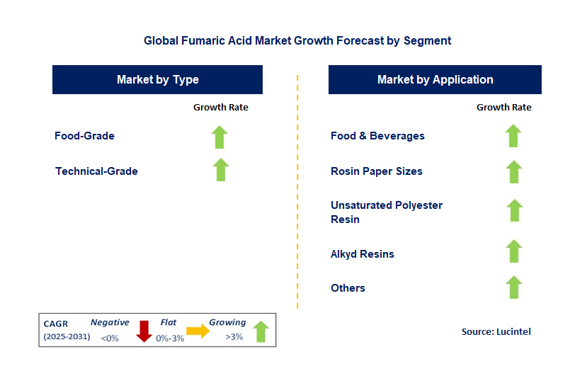 Fumaric Acid Market by Segment