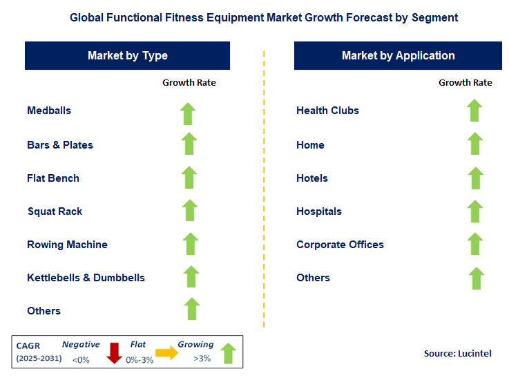 Functional Fitness Equipment Market by Segment