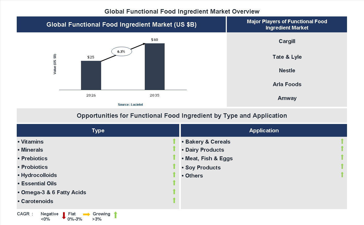 Functional Food Ingredient Market Trends and Forecast