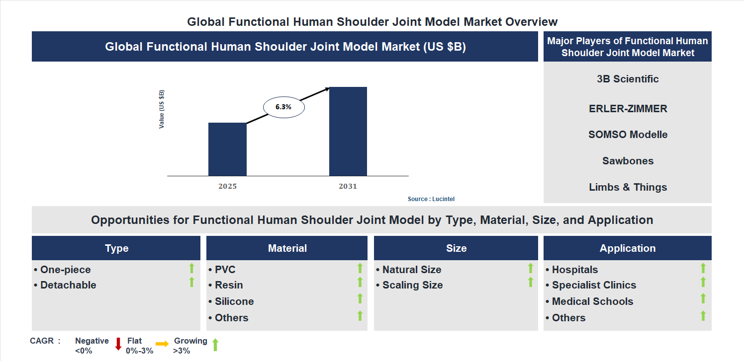 Functional Human Shoulder Joint Model Market Trends and Forecast