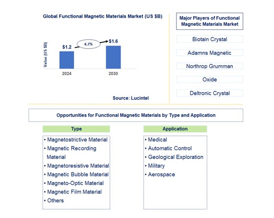 Functional Magnetic Materials Market by Type and Application