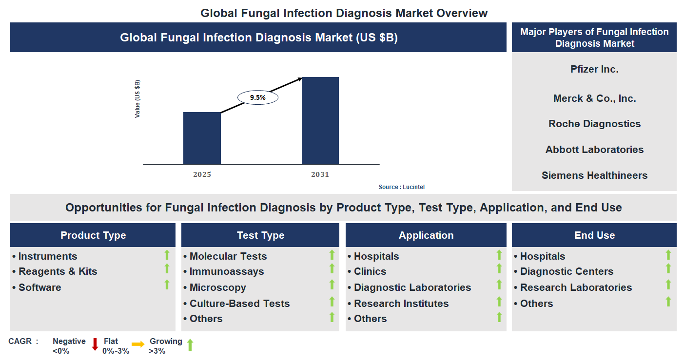 Fungal Infection Diagnosis Market Trends and Forecast