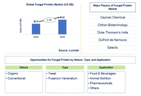 Fungal Protein Trends and Forecast