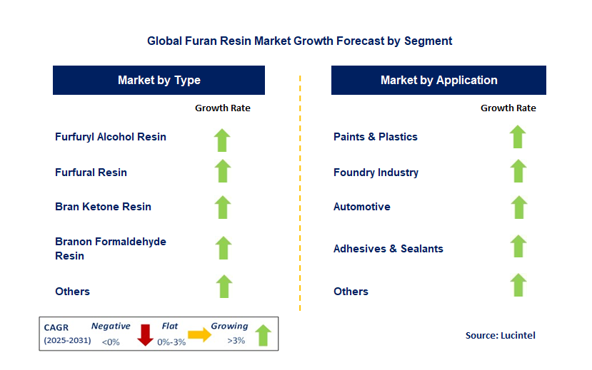 Furan Resin Market by Segment
