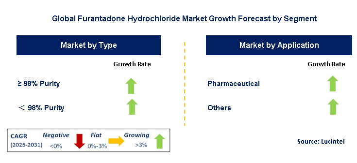Furantadone Hydrochloride Market by Segment