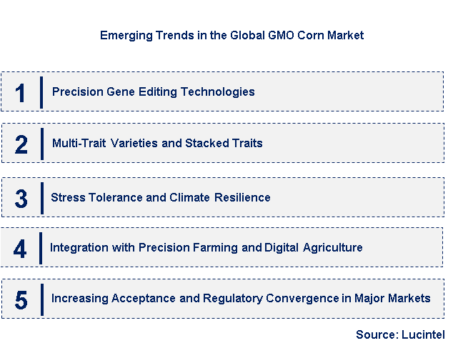 Emerging Trends in the GMO Corn Market