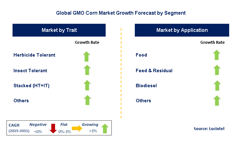GMO Corn Market by Segment