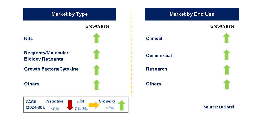 GMP Cell Therapy Consumables by Segment