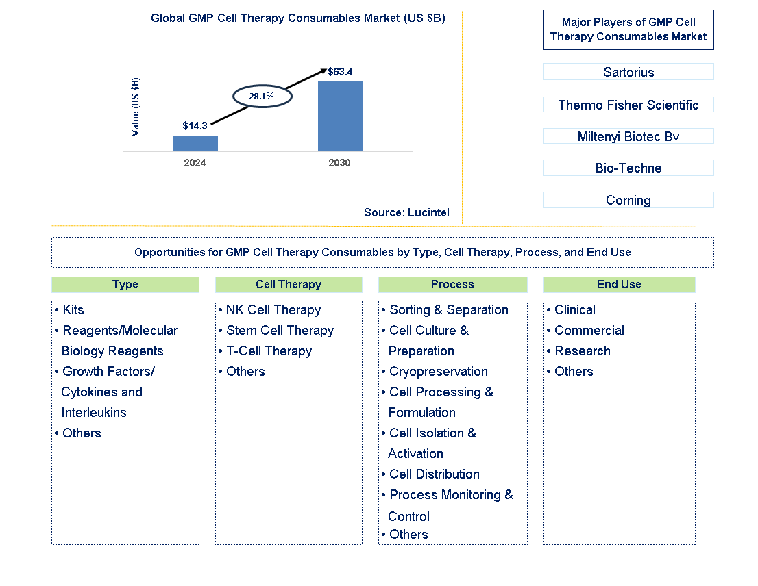 GMP Cell Therapy Consumables Trends and Forecast