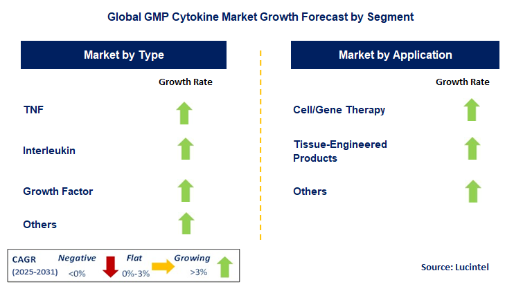 GMP Cytokine Market by Segment