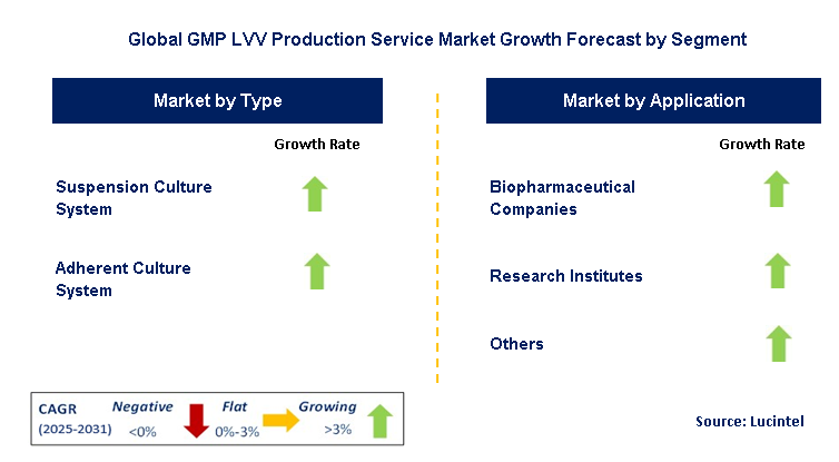 GMP LVV Production Service Market by Segment