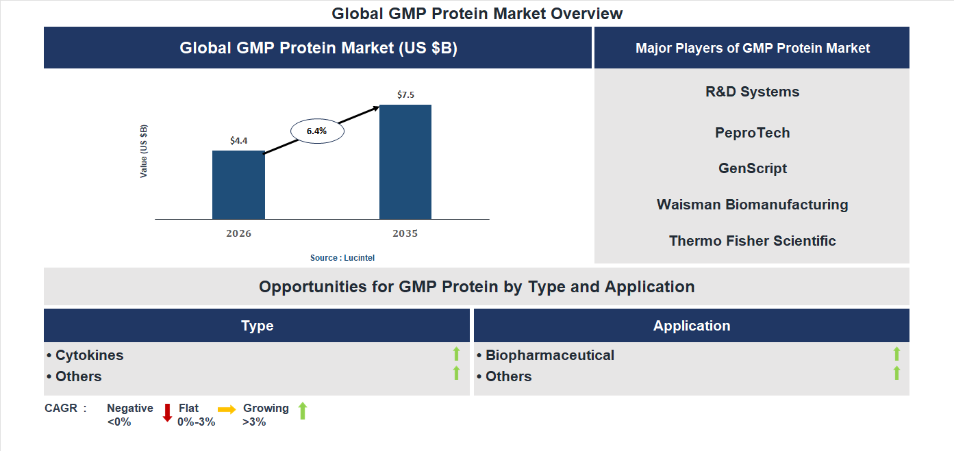GMP Protein Market Trends and Forecast