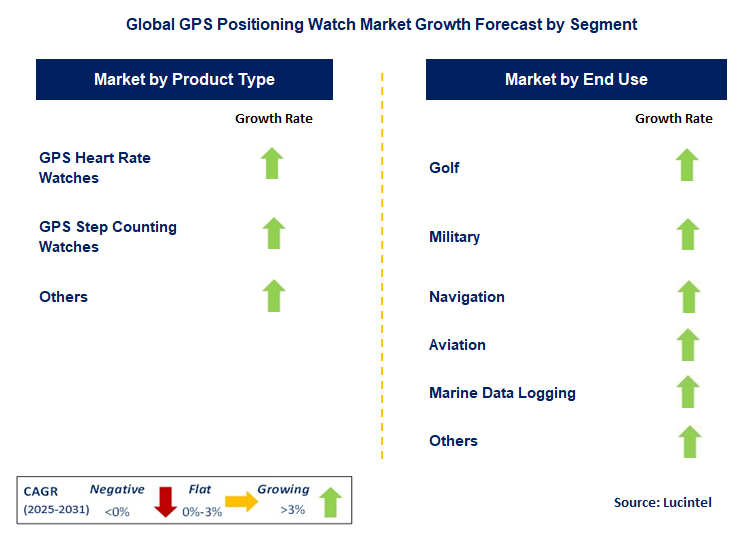 GPS Positioning Watch Market by Segment