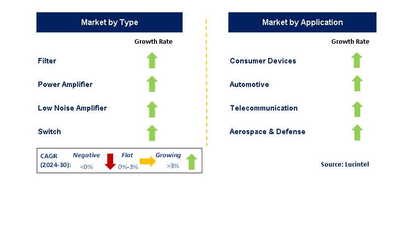 GaAs RF Semiconductor by Segment