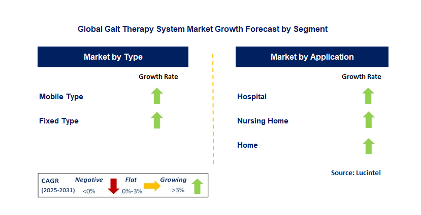 Gait Therapy System Market by Segment