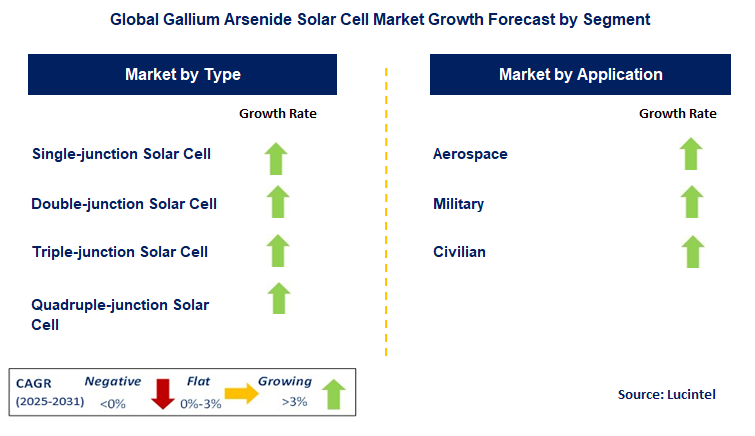 Gallium Arsenide Solar Cell Market by Segment