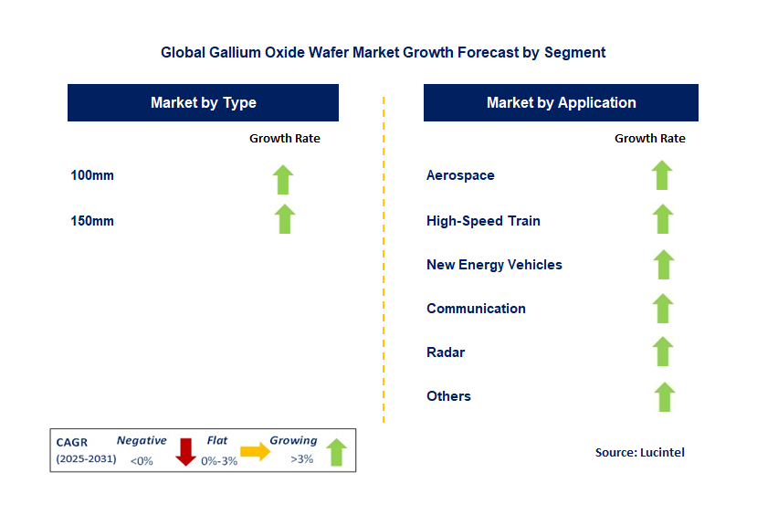 Gallium Oxide Wafer Market by Segment