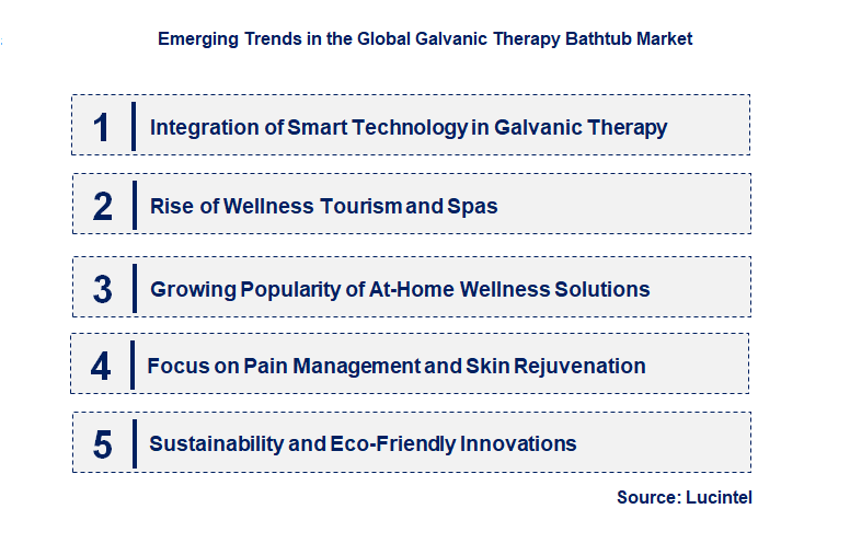Emerging Trends in the Galvanic Therapy Bathtub Market