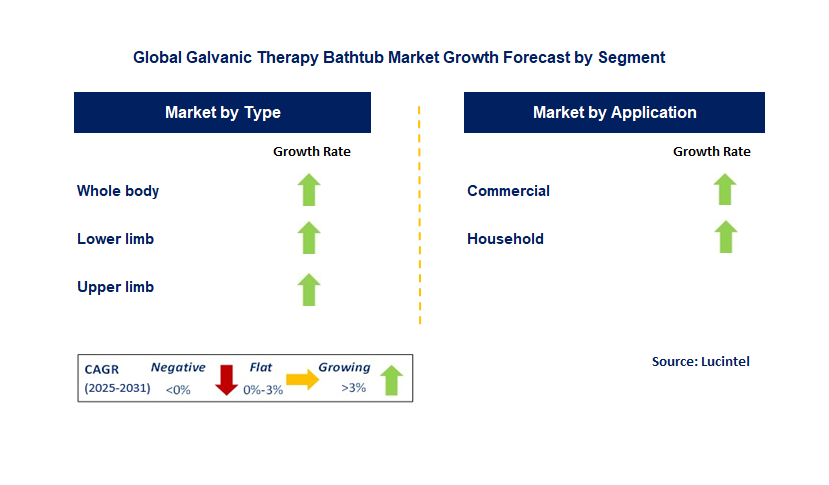 Galvanic Therapy Bathtub Market by Segment