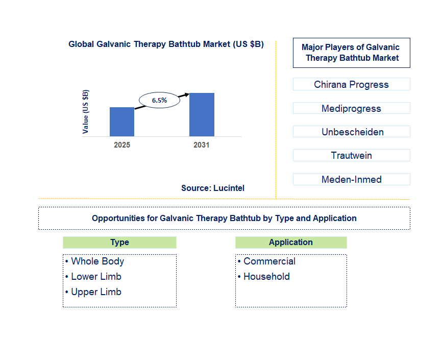 Galvanic Therapy Bathtub Market Trends and Forecast