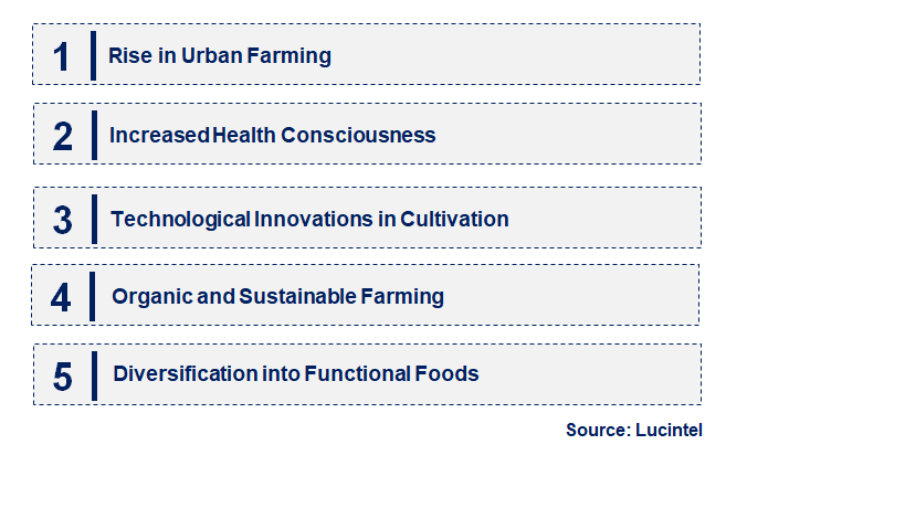 Emerging Trends in the Garden Cress Market