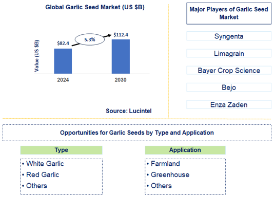 Garlic Seed Market Trends and Forecast