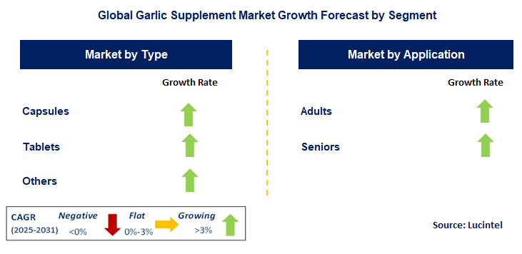 Garlic Supplement Market by Segment