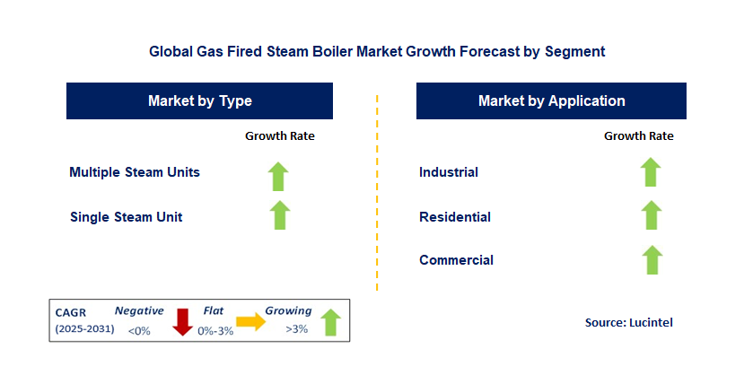 Gas Fired Steam Boiler Market by Segment