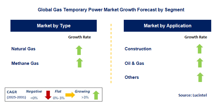 Gas Temporary Power Market by Segment