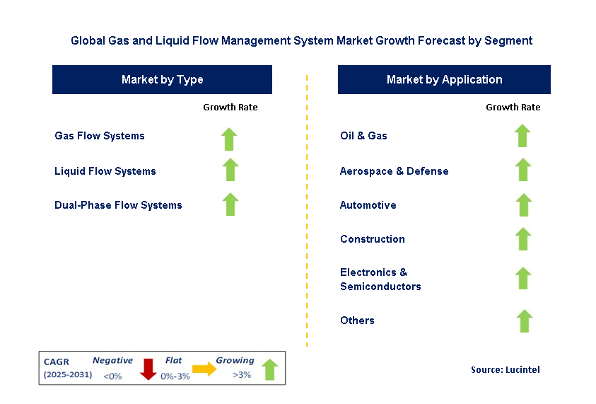 Gas and Liquid Flow Management System Market by Segment