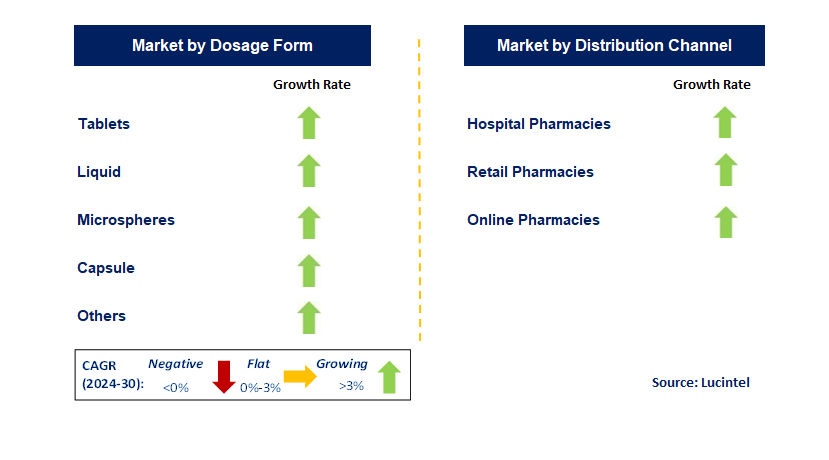 Gastroretentive Drug Delivery System Outsourcing by Segment