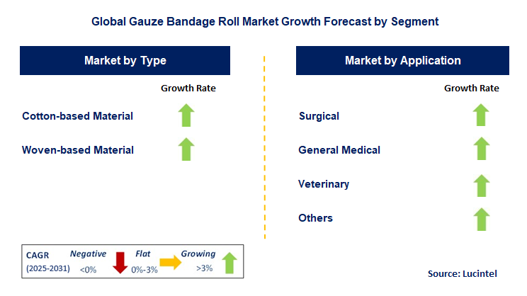Gauze Bandage Roll Market by Segment