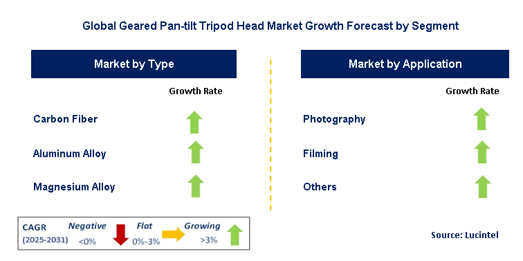 Geared Pan-tilt Tripod Head Market by Segment