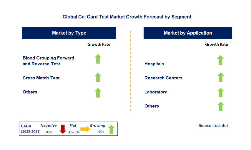 Gel Card Test Market by Segment