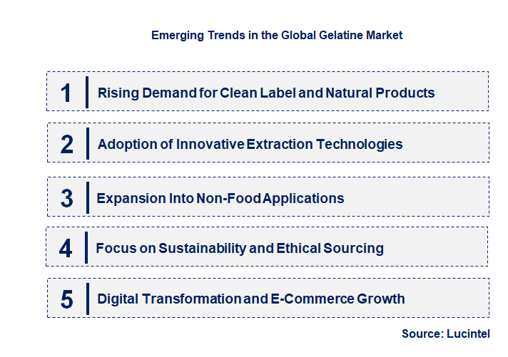 Emerging Trends in the Gelatine Market