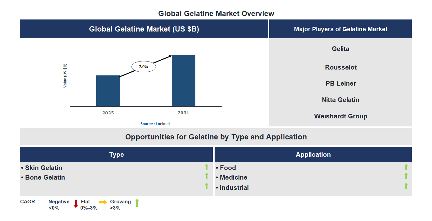 Gelatine Market Trends and Forecast