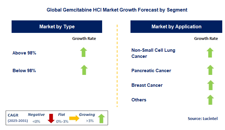 Gemcitabine HCl Market by Segment