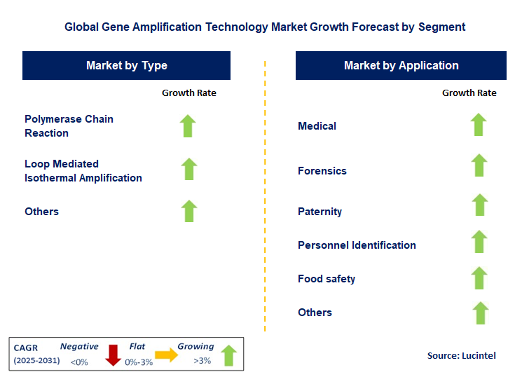 Gene Amplification Technology Market by Segment