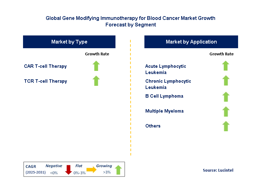 Gene Modifying Immunotherapy for Blood Cancer Market by Segment
