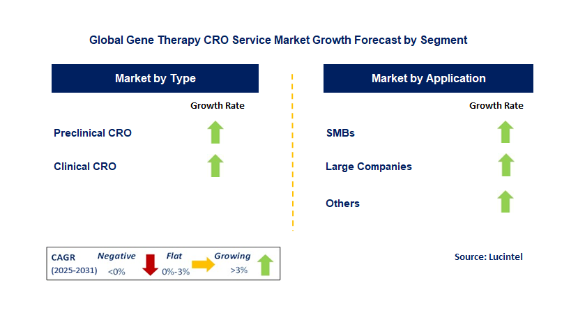Gene Therapy CRO Service Market by Segment