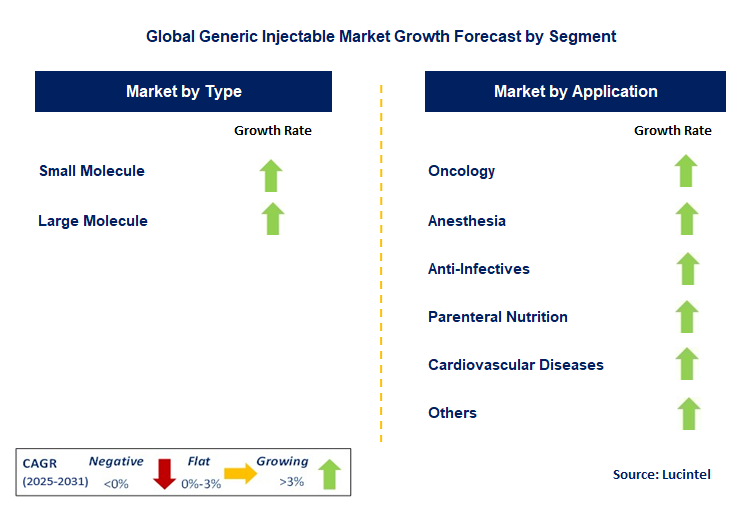 Generic Injectable Market by Segment