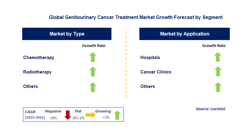 Genitourinary Cancer Treatment Market by Segment