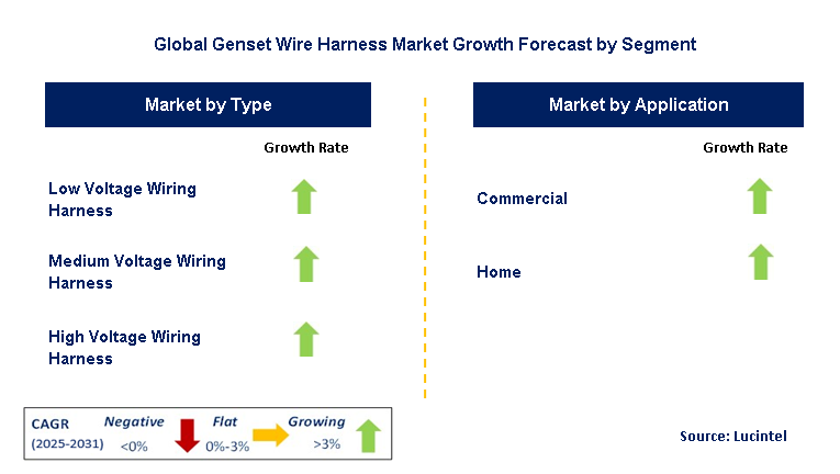 Genset Wire Harness Market by Segment