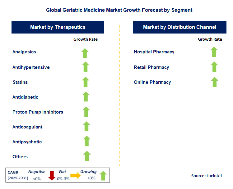 Geriatric Medicine Market by Segment