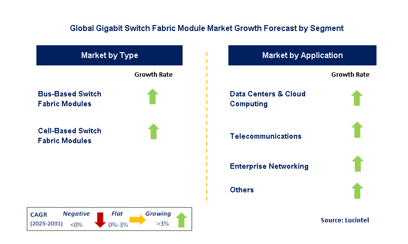 Gigabit Switch Fabric Module Market by Segment