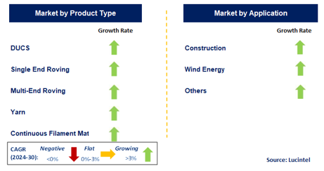 Glass Fiber for Resin Infusion Market by Segment